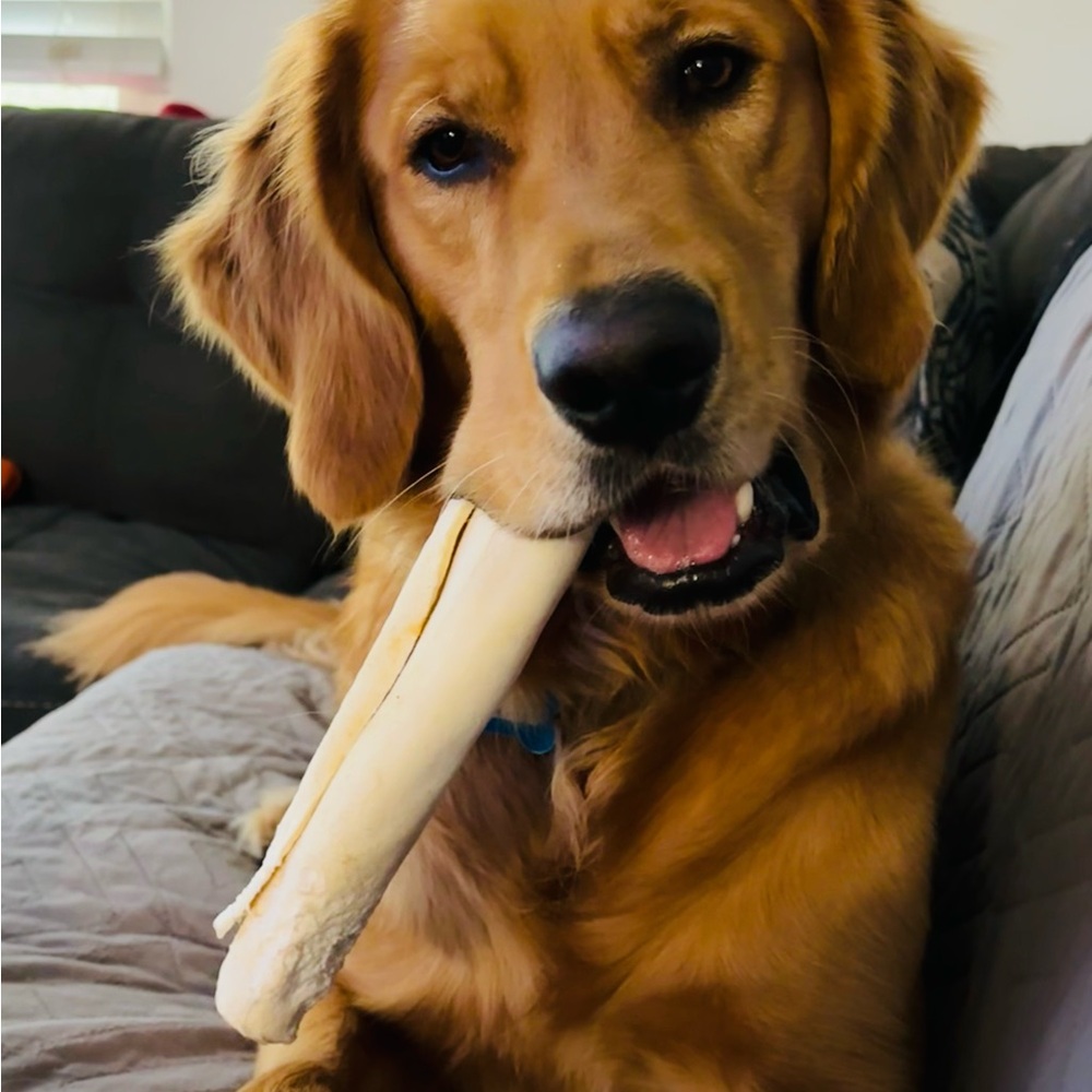 Meet your Posher, Posh